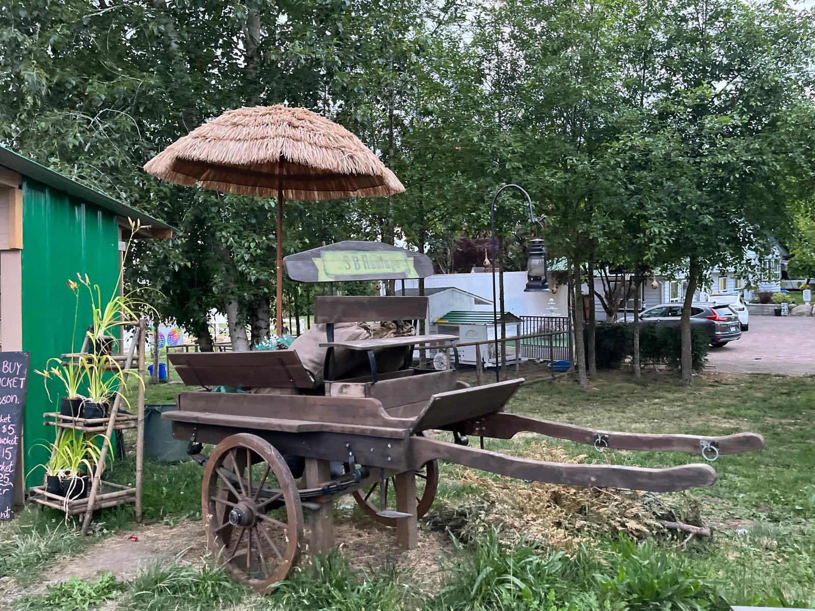 A vintage wooden cart under a thatched umbrella