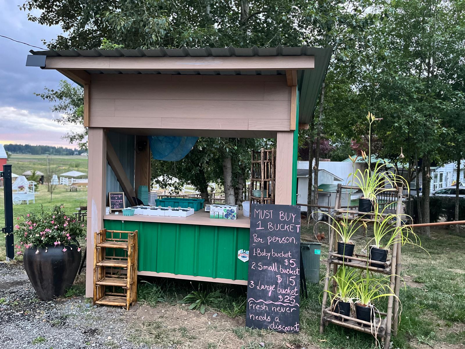The farm stand where ready-picked berries are sold
